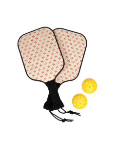 ZIZO Pickleball Set